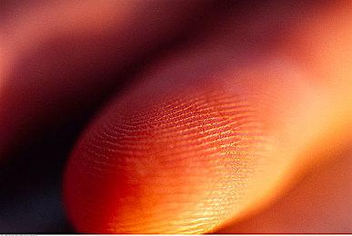 《真人快打1》仍然保留惩罚怒退玩家终结技